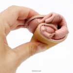 סנדלי נידו יחפים Tikki ילדים שרה הַנעָלָה JJ80416 - Image 5